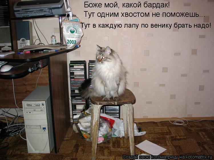 Боже мой, какой бардак! Тут одним хвостом не поможешь... Тут в каждую лапу по венику брать надо!... Котоматрица: Боже мой, какой бардак! Тут одним хвостом не поможешь... Тут в каждую лапу по венику брать надо!