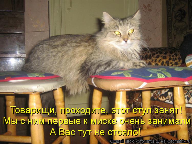 Товарищи, проходите, этот стул занят! Мы с ним первые к миске очень занимали! А Вас тут не стояло!... Котоматрица: Товарищи, проходите, этот стул занят! Мы с ним первые к миске очень занимали! А Вас тут не стояло!
