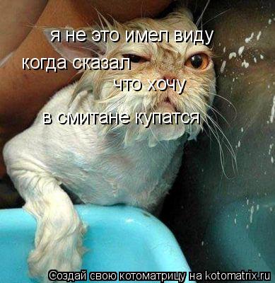 я не это имел виду когда сказал что хочу в смитане купатся... Котоматрица: я не это имел виду когда сказал что хочу в смитане купатся