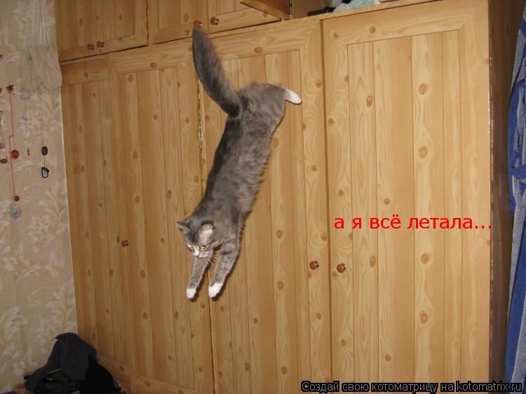 а я всё летала...... Котоматрица: а я всё летала...