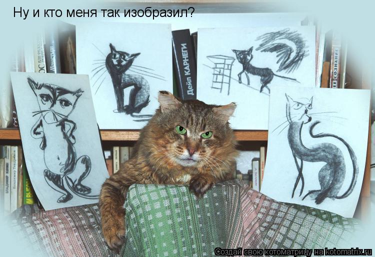 Ну и кто меня так изобразил?... Котоматрица: Ну и кто меня так изобразил?