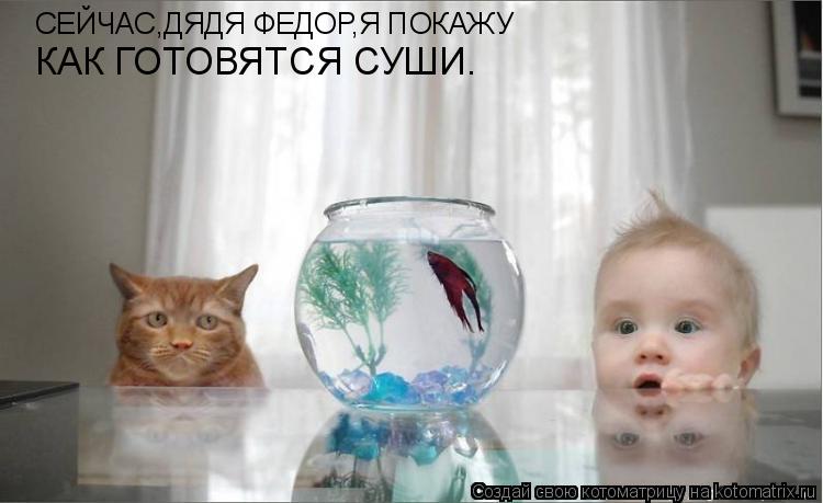 СЕЙЧАС,ДЯДЯ ФЕДОР,Я ПОКАЖУ КАК ГОТОВЯТСЯ СУШИ.... Котоматрица: СЕЙЧАС,ДЯДЯ ФЕДОР,Я ПОКАЖУ КАК ГОТОВЯТСЯ СУШИ.
