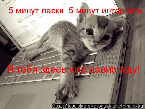 Я тебя здесь уже давно жду! 5 минут ласки 5 минут интернета... Котоматрица: Я тебя здесь уже давно жду! 5 минут ласки 5 минут интернета