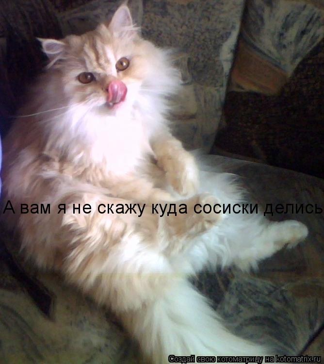 А вам я не скажу куда сосиски делись... Котоматрица: А вам я не скажу куда сосиски делись