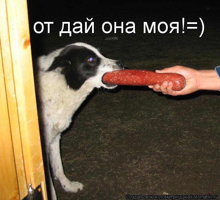 от дай она моя!=)... Котоматрица: от дай она моя!=)