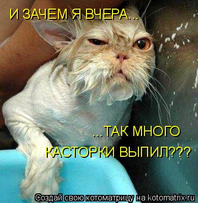 Котоматрица: И ЗАЧЕМ Я ВЧЕРА... ...ТАК МНОГО КАСТОРКИ ВЫПИЛ???