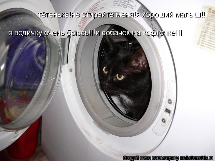 тётенька!не стирайте меня!я хороший малыш!!! я водичку очень боюсь!!!и собачек на кофточке!!!... Котоматрица: тётенька!не стирайте меня!я хороший малыш!!! я водичку очень боюсь!!!и собачек на кофточке!!!