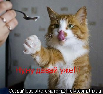 Ну,ну давай уже!!!... Котоматрица: Ну,ну давай уже!!!