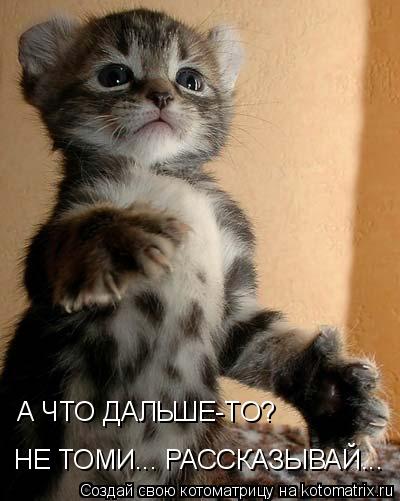 А ЧТО ДАЛЬШЕ-ТО? НЕ ТОМИ... РАССКАЗЫВАЙ...... Котоматрица: А ЧТО ДАЛЬШЕ-ТО? НЕ ТОМИ... РАССКАЗЫВАЙ...