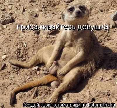 присаживайтесь девушка... Котоматрица: присаживайтесь девушка