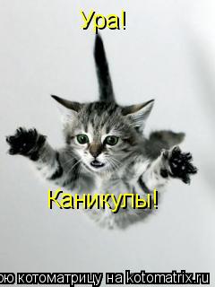 Ура! Каникулы!... Котоматрица: Ура! Каникулы!