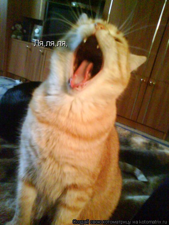 Ля,ля,ля,... Котоматрица: Ля,ля,ля,