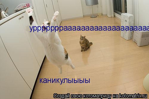 уррррррраааааааааааааааааааааа каникулыыыы... Котоматрица: уррррррраааааааааааааааааааааа каникулыыыы