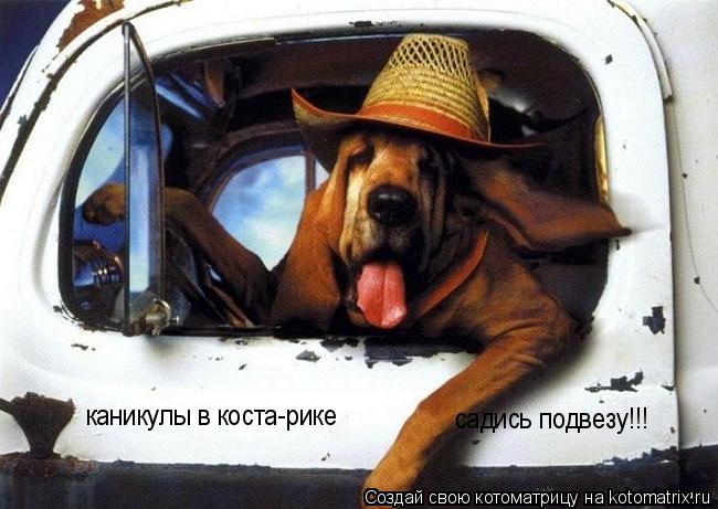 каникулы в коста-рике садись подвезу!!!... Котоматрица: каникулы в коста-рике садись подвезу!!!