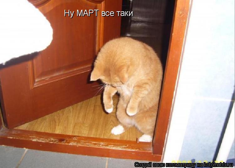 Ну МАРТ все таки... Котоматрица: Ну МАРТ все таки