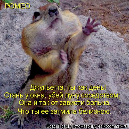 Джульетта, ты как день! Стань у окна, убей луну соседством; Она и так от зависти больна, Что ты ее з... Котоматрица: Джульетта, ты как день! Стань у окна, убей луну соседством; Она и так от зависти больна, Что ты ее затмила белизною. РОМЕО