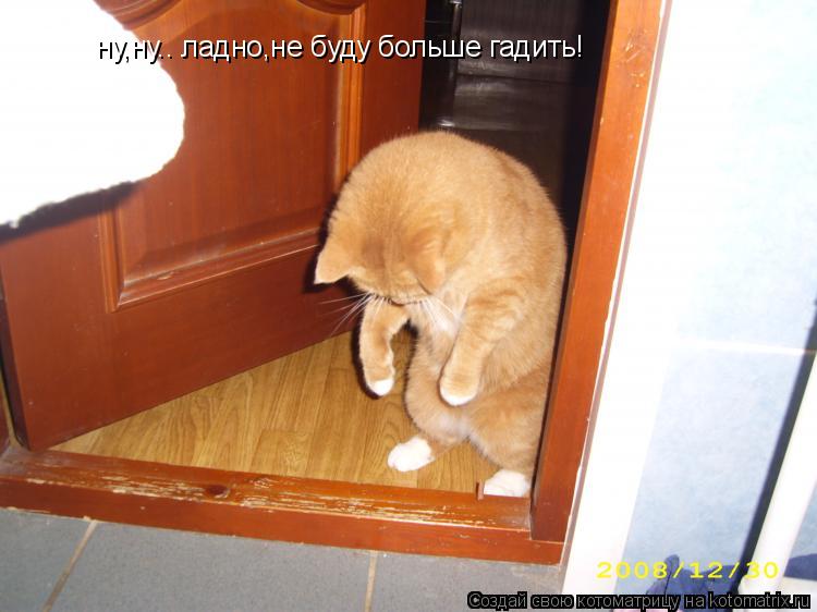 ну,ну.. ладно,не буду больше гадить!... Котоматрица: ну,ну.. ладно,не буду больше гадить!