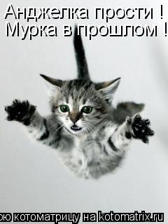 Котоматрица: Анджелка прости ! Мурка в прошлом !