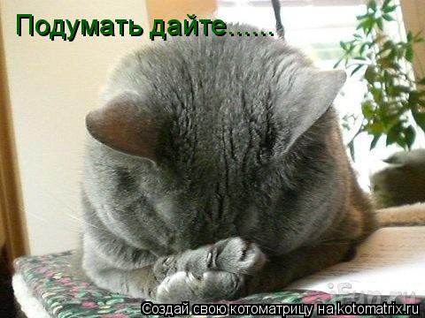 Подумать дайте......... Котоматрица: Подумать дайте......