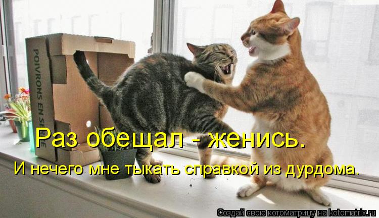 Раз обещал - женись. И нечего мне тыкать справкой из дурдома.... Котоматрица: Раз обещал - женись. И нечего мне тыкать справкой из дурдома.