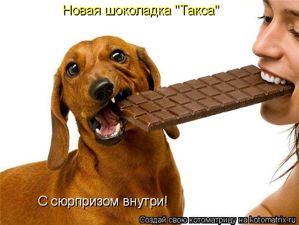 Новая шоколадка "Такса" С сюрпризом внутри!... Котоматрица: Новая шоколадка "Такса" С сюрпризом внутри!