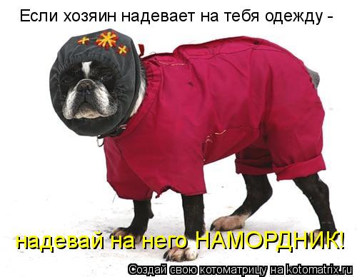 Если хозяин надевает на тебя одежду - надевай на него НАМОРДНИК!... Котоматрица: Если хозяин надевает на тебя одежду - надевай на него НАМОРДНИК!
