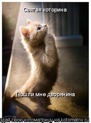 Святая которина Пошли мне дворянина... Котоматрица: Святая которина Пошли мне дворянина