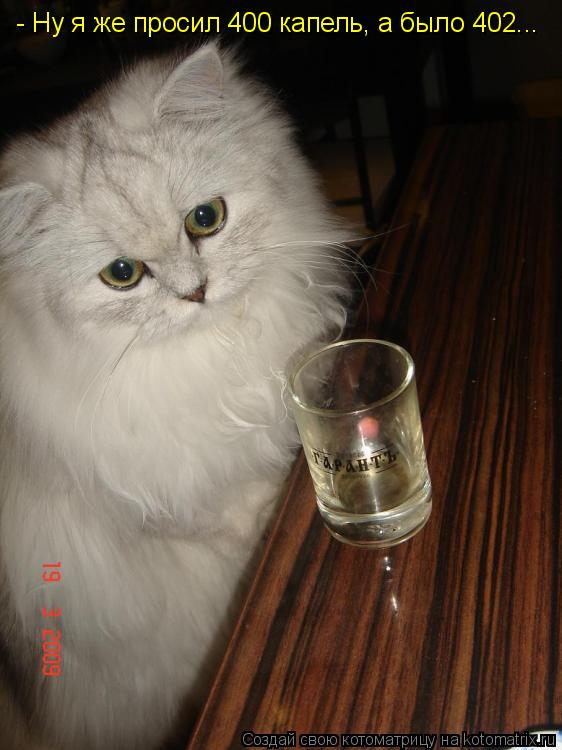 - Ну я же просил 400 капель, а было 402...... Котоматрица: - Ну я же просил 400 капель, а было 402...