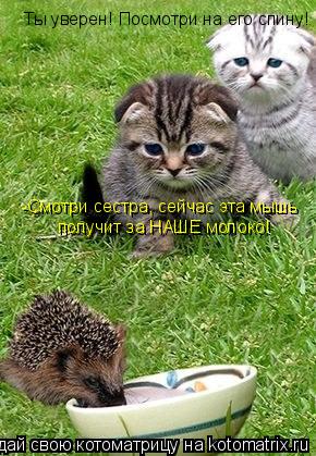 -Смотри сестра, сейчас эта мышь получит за НАШЕ молоко! Ты уверен! Посмотри на его спину!... Котоматрица: -Смотри сестра, сейчас эта мышь получит за НАШЕ молоко! Ты уверен! Посмотри на его спину!