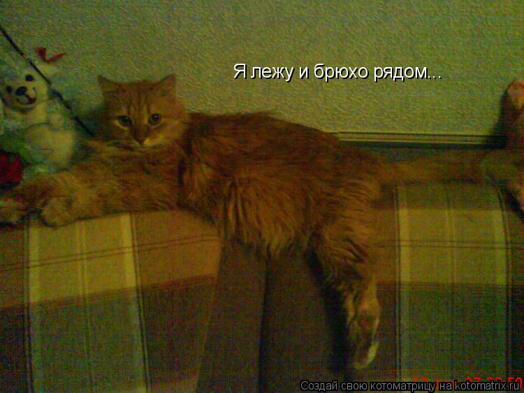 Я лежу и брюхо рядом...... Котоматрица: Я лежу и брюхо рядом...