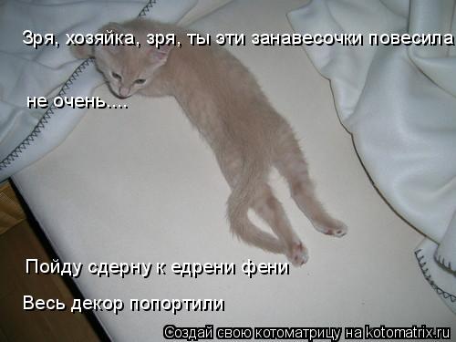 Зря, хозяйка, зря, ты эти занавесочки повесила не очень.... Пойду сдерну к едрени фени Весь декор поп... Котоматрица: Зря, хозяйка, зря, ты эти занавесочки повесила не очень.... Пойду сдерну к едрени фени Весь декор попортили