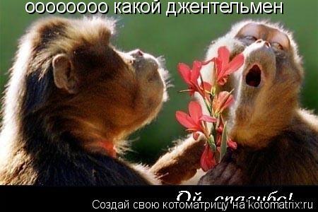 оооооооо какой джентельмен... Котоматрица: оооооооо какой джентельмен