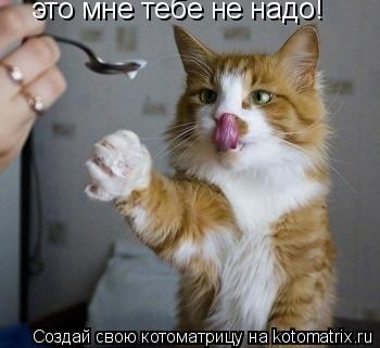 Котоматрица: это мне тебе не надо!
