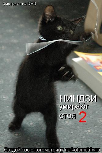 Смотрите на DVD НИНДЗИ умирают стоя 2... Котоматрица: Смотрите на DVD НИНДЗИ умирают стоя 2