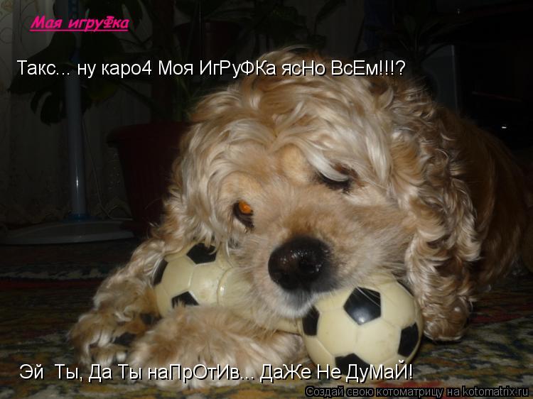 Такс... ну каро4 Моя ИгРуФКа ясНо ВсЕм!!!? Эй Ты, Да Ты наПрОтИв... ДаЖе Не ДуМаЙ!... Котоматрица: Такс... ну каро4 Моя ИгРуФКа ясНо ВсЕм!!!? Эй Ты, Да Ты наПрОтИв... ДаЖе Не ДуМаЙ!