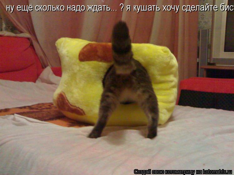 ну ещё сколько надо ждать... ? я кушать хочу сделайте бистрее... Котоматрица: ну ещё сколько надо ждать... ? я кушать хочу сделайте бистрее