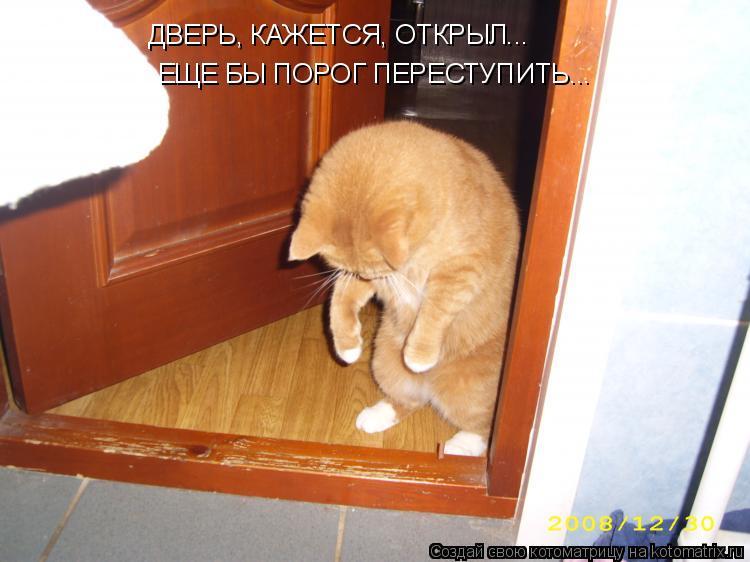 ДВЕРЬ, КАЖЕТСЯ, ОТКРЫЛ... ЕЩЕ БЫ ПОРОГ ПЕРЕСТУПИТЬ...... Котоматрица: ДВЕРЬ, КАЖЕТСЯ, ОТКРЫЛ... ЕЩЕ БЫ ПОРОГ ПЕРЕСТУПИТЬ...