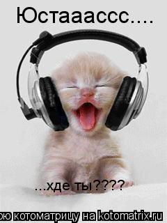 Юстааассс.... ...хде ты????... Котоматрица: Юстааассс.... ...хде ты????