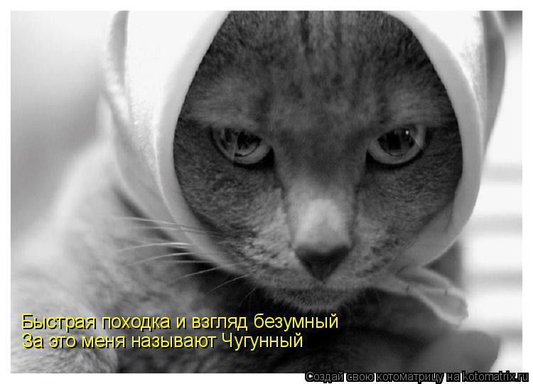 Быстрая походка и взгляд безумный За это меня называют Чугунный... Котоматрица: Быстрая походка и взгляд безумный За это меня называют Чугунный