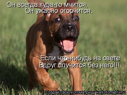 Он всегда куда-то мчится, Он ужасно огорчится, Если что-нибудь на свете Вдруг случится без него!!!... Котоматрица: Он всегда куда-то мчится, Он ужасно огорчится, Если что-нибудь на свете Вдруг случится без него!!!