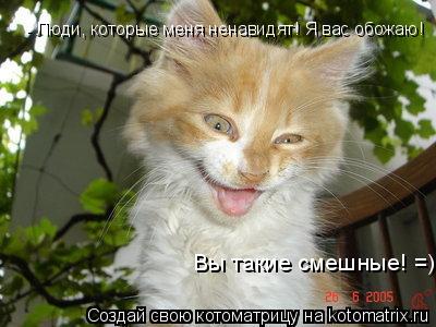 Котоматрица: Вы такие смешные! =) Вы такие смешные! =) - Люди, которые меня ненавидят! Я вас обожаю! - Люди, которые меня ненавидят! Я вас обожаю! - Люди, которы