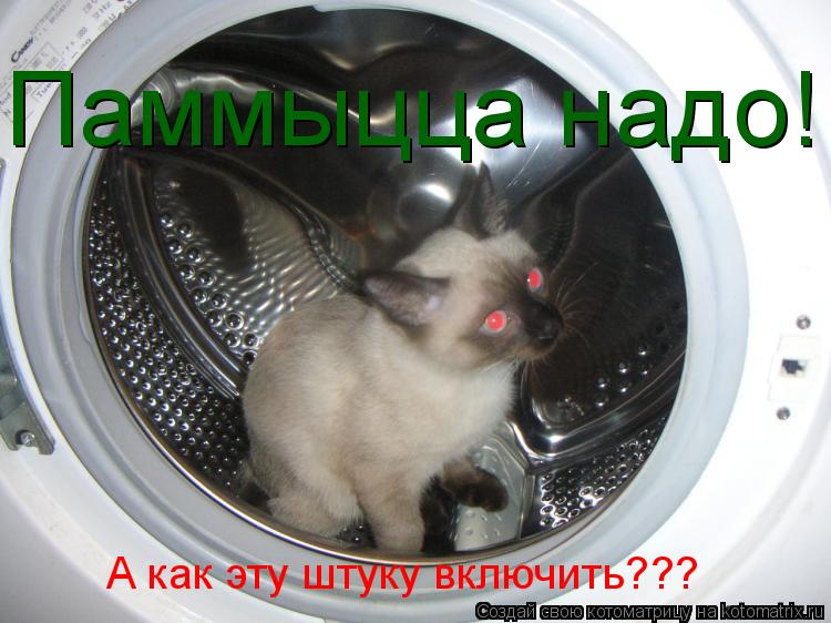 А как эту штуку включить??? Паммыцца надо!... Котоматрица: А как эту штуку включить??? Паммыцца надо!