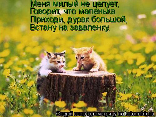 Меня милый не целует, Говорит, что маленька. Приходи, дурак большой, Встану на заваленку.... Котоматрица: Меня милый не целует, Говорит, что маленька. Приходи, дурак большой, Встану на заваленку.