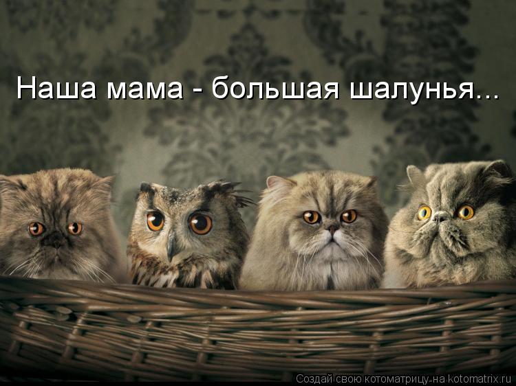 Наша мама - большая шалунья...... Котоматрица: Наша мама - большая шалунья...