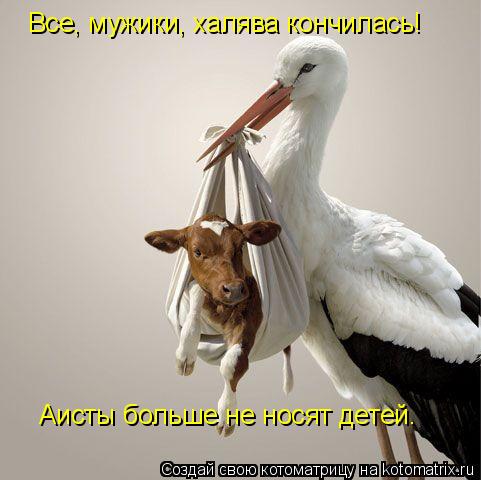 Все, мужики, халява кончилась! Аисты больше не носят детей.... Котоматрица: Все, мужики, халява кончилась! Аисты больше не носят детей.
