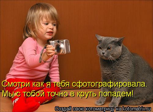 Смотри как я тебя сфотографировала. Мы с тобой точно в круть попадем!... Котоматрица: Смотри как я тебя сфотографировала. Мы с тобой точно в круть попадем!