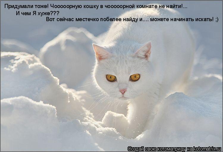 Придумали тоже! Чооооорную кошку в чооооорной комнате не найти!... И чем Я хуже??? Вот сейчас местеч... Котоматрица: Придумали тоже! Чооооорную кошку в чооооорной комнате не найти!... И чем Я хуже??? Вот сейчас местечко побелее найду и.... можете начинать иска