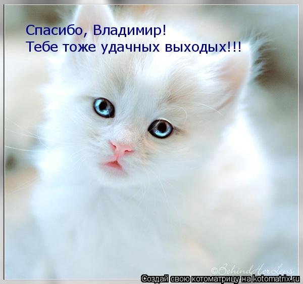 Спасибо, Владимир! Тебе тоже удачных выходых!!!... Котоматрица: Спасибо, Владимир! Тебе тоже удачных выходых!!!
