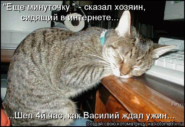 ...Шел 4й час, как Василий ждал ужин... "Еще минуточку " - сказал хозяин, сидящий в интернете...... Котоматрица: ...Шел 4й час, как Василий ждал ужин... "Еще минуточку " - сказал хозяин, сидящий в интернете...