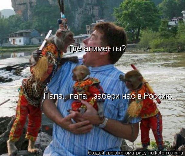 Где алименты? Папа...папа...забери нас в Россию... Котоматрица: Где алименты? Папа...папа...забери нас в Россию